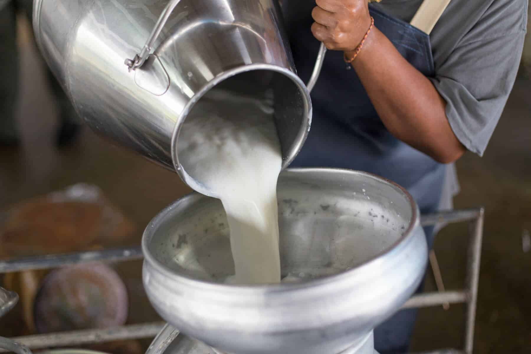 A worker pourring some milk in a machine