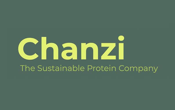 Chanzi company colored logo with a green background